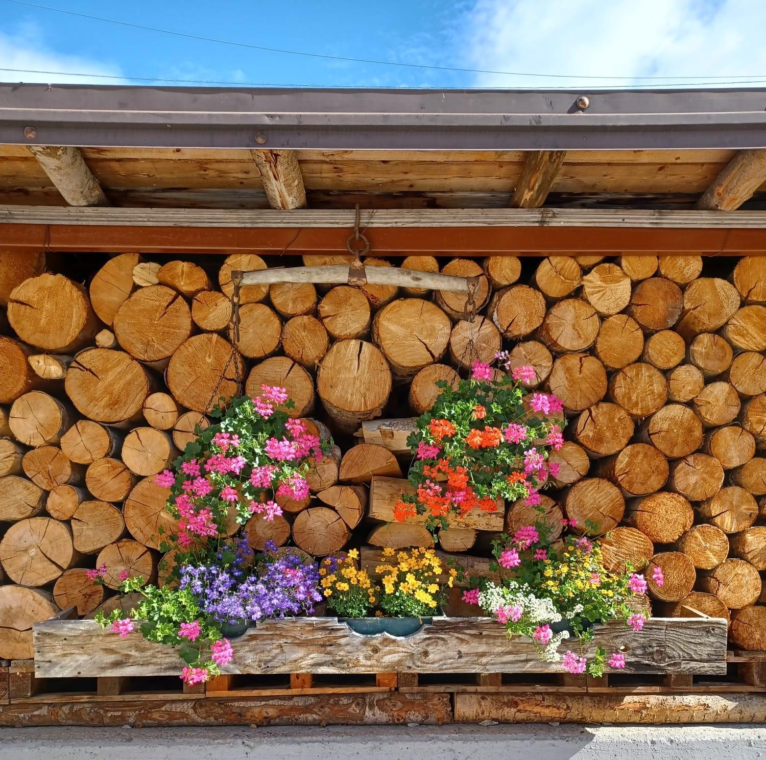 Locanda Da Pierina Santo Stefano Di Cadore Exterior foto